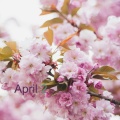 Four Seasons - April 2