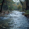 Estación de música de masaje、Sonidos de la Naturaleza Ruido、Punto Tranquilo - El Toque Tranquilo Del Río