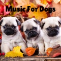 Music For Dogs Peace、Music For Dogs、Calm Pets Music Academy、Relaxing Puppy Music - Chill Sleep Vibes