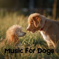 Music For Dogs Peace、Music For Dogs、Calm Pets Music Academy、Relaxing Puppy Music - Puppy Zen