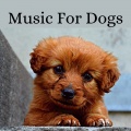 Music For Dogs、Music For Dogs Peace、Calm Pets Music Academy、Relaxing Puppy Music - Journey To Sleep