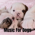 Music For Dogs、Music For Dogs Peace、Calm Pets Music Academy、Relaxing Puppy Music - Relax my Dog