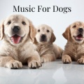 Music For Dogs、Music For Dogs Peace、Relaxing Puppy Music、Calm Pets Music Academy - Dog Relax