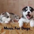 Music For Dogs、Music For Dogs Peace、Relaxing Puppy Music、Calm Pets Music Academy - Anxiety Relief for Dogs