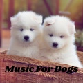 Music For Dogs、Music For Dogs Peace、Relaxing Puppy Music、Calm Pets Music Academy - Music For Puppies