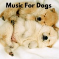 Music For Dogs、Music For Dogs Peace、Relaxing Puppy Music、Calm Pets Music Academy - Zen Dog Music