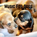 Music For Dogs、Music For Dogs Peace、Relaxing Puppy Music、Calm Pets Music Academy - Background Dog Music
