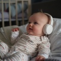 Baby's Dreamworld、ASMR Zen Garden、Lullabies - Sweet Meal Melodies