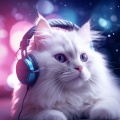 Vital Energy Duo、Therapeutic、Unkai - Cat's Serene Sleep Songs