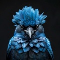 Tonos de estudio Binaural Beats、Sonidos De Pajaros、Sistemas Binaurales - Melodías De Eco De Las Aves