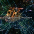 Meditation Zen Master - Mindshaft