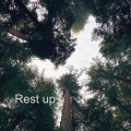 Four Seasons - Rest up