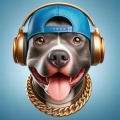 Pets Music - Pet Serenity Sound