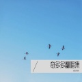 奇多多 - 永不失联的爱