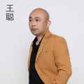 王聪 - 美丽的遗憾