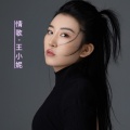 王小妮 - 先生再见