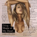 Mose N、DJ Dark - Shape of My Heart