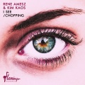René Amesz - Chopping