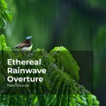 Natural Rain Sounds for Sleeping、Rain Storm Sample Library - Exquisite Rain Rhythm