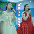 王思童 - 凤凰花开的路口