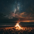 Sonidos del bosque para relajarse、El colectivo de la selva tropical、Ruidos de la Naturaleza - El Abrazo Del Calor En La Calma Del Anochecer