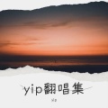 yip - 介质