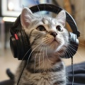 Sonidos Del Bosques、Musica Ambiente de The Wood、Ciudad en las Nubes - Zumbido Suave Felino