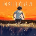 就是南方凯 - 向阳自有花开