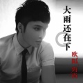 欧阳尚尚 - 爱上你我是真心的 (Single Version)