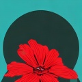 2011 DJ ReMix Factory - Lady In Red (ReMixed)