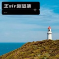 王sir - 传奇 (王sir remix)