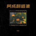 阿 成 吖 - 北斗星的爱