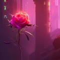 笨老猫 - 绒花