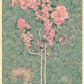 笨老猫 - 花语