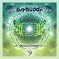 PsyBuddy - Sonic Treatment (Original Mix)