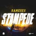 Rameses - Stampede