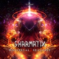 Sharmatix - Now Try the Trip (Original Mix)