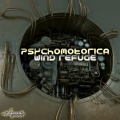 Psychomotorica - Soul (Original Mix)