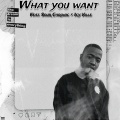 Mr Disha、Sour Chronic、Icy ville - What You Want (Explicit)
