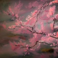 关小白咯 - 桃花庵歌