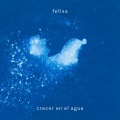 Felisa - Cometa