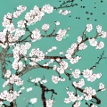 张艺萍 - 梨花颂