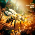 out of silence - Depths of Subconscious