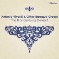roy goodman、Paul Nicholson、the brandenburg consort - I. Andante