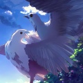 沈诗琪、王靖饴 - 白鸽与乌鸦