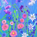 杨丽萍广场舞 - 梦中的格桑花 (藏族舞)