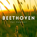 Sinfonia Varsovia、Ludwig van Beethoven - Symphony #2 In D, Op. 36 - 3. Scherzo_ Allegro