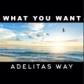 Adelitas Way - What You Want