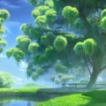 酷朝轩大叔 - 槐花香