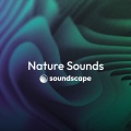 Mother Earth Sounds - Night Forest